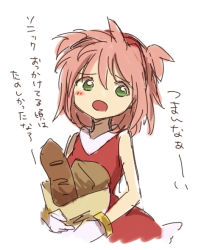 Rule 34 | 1girl, amy rose, bag, baguette, bare shoulders, blush, bread, bukiko, dress, female focus, flat chest, food, gloves, green eyes, hairband, holding, holding bag, humanization, japanese text, looking at viewer, medium hair, open mouth, paper bag, pink hair, red dress, red hairband, sidelocks, simple background, sketch, sleeveless, sleeveless dress, solo, sonic (series), standing, talking, translation request, two side up, upper body, white background, white gloves