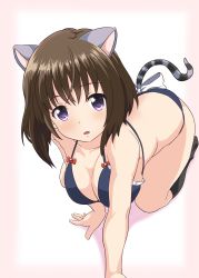 Rule 34 | 1girl, :o, all fours, alternative girls, animal ears, asahina nono, bikini, bow, breasts, brown hair, cat ears, cat tail, guchiaki, highres, large breasts, looking at viewer, purple eyes, short hair, solo, swimsuit, tail, tail bow, tail ornament