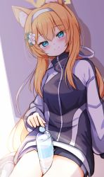 Rule 34 | 1girl, animal ear fluff, animal ears, baram, between legs, black jacket, black shorts, blonde hair, blue archive, blue eyes, blush, bottle, closed mouth, commentary, flower, gym shorts, hair between eyes, hair flower, hair ornament, hair ribbon, hairband, halo, highres, jacket, long hair, long sleeves, looking at viewer, low ponytail, mari (blue archive), mari (track) (blue archive), plastic bottle, puffy long sleeves, puffy sleeves, ribbon, short shorts, shorts, sitting, smile, socks, solo, split mouth, track jacket, wariza, water bottle, white flower, white hairband, white ribbon, white socks