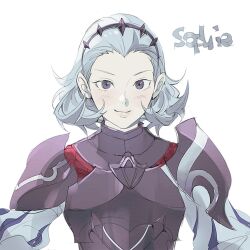 Rule 34 | 1girl, armor, closed mouth, fire emblem, fire emblem fates, gomsuk4, grey eyes, grey hair, hair slicked back, light smile, looking at viewer, nintendo, solo, sophie (fire emblem), upper body