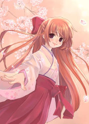 Rule 34 | 1girl, blush, bow, breasts, brown eyes, brown hair, cherry blossoms, dot nose, evening, eyebrows, from below, hair bow, hair pulled back, hakama, hakama skirt, japanese clothes, kuga tsukasa, long hair, long sleeves, looking at viewer, looking to the side, miko, outdoors, petals, red bow, red hakama, skirt, small breasts, solo, standing, tears, very long hair