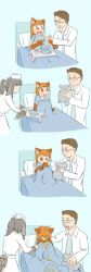 Rule 34 | 1boy, 2girls, animal ears, animal hands, aqua background, artist request, black hair, brown hair, cat ears, cat paws, child, comic, copyright request, covering own mouth, doctor, drawfag, glasses, happy, hospital, monster girl, multiple girls, nurse, original, playing, sick, silent comic, smile, stuffed animal, stuffed toy, tail, vomit, vomiting