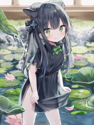 Rule 34 | 1girl, absurdres, animal ear fluff, animal ears, black dress, black hair, blue archive, blush, bow, china dress, chinese clothes, closed mouth, commentary request, cowboy shot, dress, extra ears, flat chest, green bow, green eyes, highres, hyacinth, long hair, looking at viewer, sekiyanene, short sleeves, shun (blue archive), shun (small) (blue archive), side slit, skirt hold, smile, solo, standing, tiger ears, tiger girl