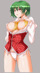 Rule 34 | 1girl, ascot, breasts, female focus, grey background, hands on own chest, kazami yuuka, large breasts, no pants, open clothes, open shirt, panties, plaid, plaid vest, shirt, side-tie panties, simple background, solo, standing, touhou, underwear, untied, vest, yueshiro kou