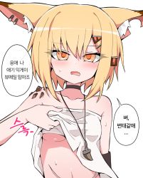 Rule 34 | 1girl, animal ear fluff, animal ears, arknights, blonde hair, breasts, collarbone, dusonson, ear piercing, fang, female focus, fox ears, fox girl, hair ornament, jewelry, korean text, lifting own clothes, looking at viewer, material growth, necklace, notched ear, open mouth, orange hair, oripathy lesion (arknights), piercing, shirt, short hair, simple background, skin fang, small breasts, solo, speech bubble, strapless, strapless shirt, sweat, tooth necklace, translation request, tsurime, underboob, undressing, upper body, vermeil (arknights), white background