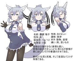 Rule 34 | 1girl, animal ear fluff, animal ears, aqua eyes, bad id, bad pixiv id, bare shoulders, between breasts, black gloves, black pantyhose, blue dress, blue footwear, blush, boots, breasts, character name, character profile, character sheet, closed eyes, closed mouth, commentary request, contrapposto, cowboy shot, cropped torso, detached sleeves, dress, eyebrows, frilled dress, frilled sleeves, frills, frown, full body, gloves, hair between eyes, hair ornament, hair ribbon, high ponytail, highres, inu kaze yamu, looking at viewer, medium breasts, multiple views, necktie, necktie between breasts, original, pantyhose, ribbon, short dress, short eyebrows, short hair, silver hair, simple background, skull hair ornament, sleeveless, sleeveless dress, standing, tail, thick eyebrows, translation request, white background