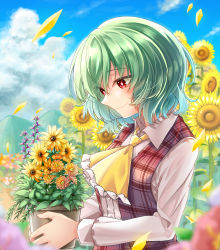 Rule 34 | 1girl, absurdres, ascot, blue sky, blurry, blush, breasts, closed mouth, cloud, cloudy sky, collared shirt, commentary request, eyes visible through hair, fingernails, flower, frills, grass, green flower, green hair, grey shirt, hair between eyes, highres, jar, kazami yuuka, kinese (katasutorohu), leaf, long fingernails, long sleeves, looking down, medium breasts, mountain, nature, open clothes, open vest, orange flower, outdoors, petals, pink flower, plaid, plaid skirt, plaid vest, puffy long sleeves, puffy sleeves, purple flower, red skirt, red vest, scenery, shirt, short hair, skirt, sky, smile, solo, standing, sunflower, touhou, vest, yellow ascot, yellow flower