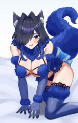 1girl absurdres animal_ears black_hair blue_eyes blue_gloves blue_tail blue_thighhighs breasts commentary cosplay eipanguino elbow_gloves fangs fate/grand_order fate_(series) fur-trimmed_gloves fur_trim gloves hair_intakes highres hololive hololive_english large_breasts looking_at_viewer mash_kyrielight mash_kyrielight_(dangerous_beast) mash_kyrielight_(dangerous_beast)_(cosplay) open_mouth ouro_kronii revealing_clothes short_hair tail thighhighs virtual_youtuber wolf_ears