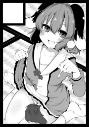 Rule 34 | 1girl, animal ears, bare legs, between legs, black border, blush, border, cameltoe, circle cut, clothes lift, collarbone, dog ears, dog tail, dress, dress lift, fang, greyscale, hair between eyes, holding, kasodani kyouko, lifting own clothes, lolimate, long sleeves, looking at viewer, mimikaki, monochrome, no shoes, open mouth, panties, short hair, sitting, socks, solo, tail, tail between legs, tatami, touhou, underwear, wariza