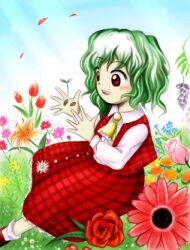 Rule 34 | 1girl, :d, ascot, blue flower, blue sky, collared shirt, day, flower, frilled ascot, frills, grass, green hair, kazami yuuka, long sleeves, lowres, medinki, official style, open mouth, orange flower, outdoors, pink flower, plaid, plaid skirt, plaid vest, purple flower, red eyes, red flower, red footwear, red skirt, red vest, seed, shirt, short hair, skirt, sky, smile, socks, solo, teeth, touhou, upper teeth only, vest, white flower, white shirt, white socks, yellow ascot, yellow flower, zun (style)