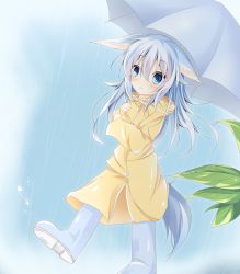 Rule 34 | 1girl, :&lt;, animal ears, aqua eyes, blue hair, blush, boots, closed mouth, coat, colored eyelashes, commentary request, ears down, expressionless, eyes visible through hair, hair between eyes, hibiki (kancolle), holding, holding umbrella, hood, hood down, hooded coat, kantai collection, kushida you, light blue hair, long hair, long sleeves, outdoors, rain, raincoat, raised eyebrows, rubber boots, sleeves past wrists, solo, splashing, tail, trench coat, umbrella, walking, yellow coat