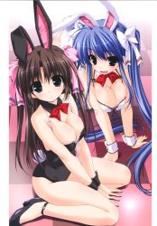 Rule 34 | 2girls, absurdres, all fours, animal ears, anklet, bare legs, black eyes, black hair, blue hair, blush, bow, breasts squeezed together, breasts, cleavage, detached collar, fake animal ears, hair bow, high heels, highres, jewelry, kamipani!, katase megumi, kujou amane, large breasts, leotard, long hair, multiple girls, playboy bunny, rabbit ears, rabbit tail, shintarou, shoes, tail, twintails, very long hair, wrist cuffs