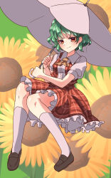 Rule 34 | 1girl, ahodemoaru, ascot, black footwear, closed mouth, collared shirt, commentary request, flower, full body, green hair, half-closed eyes, highres, holding, holding umbrella, kazami yuuka, looking at viewer, one-hour drawing challenge, outdoors, plaid, plaid skirt, plaid vest, red eyes, red skirt, red vest, shirt, short hair, skirt, smile, socks, solo, sunflower, touhou, umbrella, vest, white shirt, white socks, white umbrella, yellow ascot