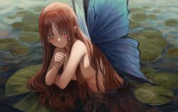 Rule 34 | 1girl, absurdres, blush, breasts, brown hair, butterfly wings, closed mouth, commentary, english commentary, gold can, green eyes, highres, insect wings, lily pad, long hair, looking at viewer, medium breasts, original, partially submerged, solo, topless, very long hair, water, wings