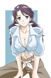 Rule 34 | 00s, 1girl, blue eyes, breasts, cleavage, front-tie top, hairband, large breasts, lena sayers, my-otome, my-otome s.ifr, sabachiyo land, shirt, sleeves rolled up, smile, solo, tied shirt