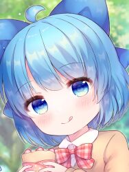 Rule 34 | 1girl, ahoge, alternate costume, blue bow, blue eyes, blue hair, blush, bow, bowtie, cirno, closed mouth, coa (chroo x), collared shirt, crepe, food, hair bow, highres, holding, holding food, long sleeves, looking at viewer, portrait, red bow, red bowtie, shirt, short hair, smile, solo, tongue, tongue out, touhou, white shirt