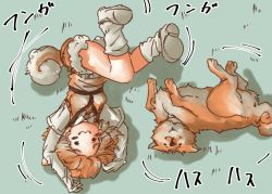 Rule 34 | 10s, 1girl, :3, animal ears, collared shirt, commentary request, dog, dog (shiba inu) (kemono friends), dog ears, dog tail, elbow gloves, fur trim, gloves, harness, kemono friends, light brown hair, multicolored hair, necktie, shirt, short hair, shorts, socks, solo, tail, tikano, translation request, vest, white hair