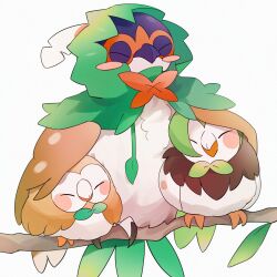Rule 34 | 3others, :&gt;, bird, blush, blush stickers, bow, bowtie, branch, cape, closed eyes, commentary, creatures (company), dartrix, decidueye, english commentary, evolutionary line, feathers, game freak, gen 7 pokemon, green bow, green bowtie, green cape, highres, hood, hood up, hooded cape, leaf, multiple others, nintendo, no humans, owl, pokemon, pokemon (creature), rowlet, simple background, sitting, takumi mizuki, white background
