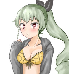 Rule 34 | 10s, 1girl, alternate hairstyle, anchovy (girls und panzer), bikini, black ribbon, blush, breasts, cardigan, closed mouth, drill hair, front-tie bikini top, front-tie top, frown, girls und panzer, green hair, grey sweater, hair ribbon, hako reeema, light blush, long hair, long sleeves, looking at viewer, medium breasts, open cardigan, open clothes, ponytail, red eyes, ribbon, simple background, single drill, solo, sweater, swimsuit, upper body, white background, yellow bikini