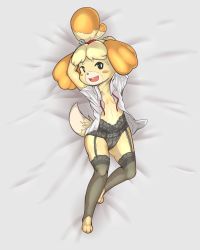 Rule 34 | 1girl, animal crossing, animal ears, animal hands, arms up, bed sheet, bell, black eyes, black panties, black thighhighs, blonde hair, blush stickers, breasts, buck teeth, collarbone, dakimakura (medium), dog ears, dog girl, dog tail, female focus, from above, full body, furry, furry female, garter belt, garter straps, grey background, hair bell, hair ornament, hair tie, happy, highres, isabelle (animal crossing), jingle bell, lingerie, looking to the side, lying, navel, nintendo, on back, open clothes, open mouth, open shirt, panties, red ribbon, ribbon, shirt, short hair, short sleeves, simple background, small breasts, smile, solo, suenbroe, sweat, tail, teeth, thighhighs, toeless legwear, topknot, underwear, white shirt