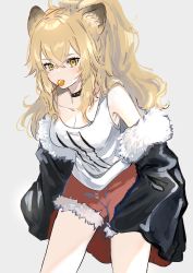 Rule 34 | 1girl, animal ears, arknights, black jacket, blonde hair, breasts, candy, cleavage, collar, collarbone, commentary, cowboy shot, female focus, food, food in mouth, fur-trimmed jacket, fur trim, gawako, grey background, highres, jacket, large breasts, lion ears, lollipop, long hair, looking at viewer, off shoulder, ponytail, red shorts, shorts, siege (arknights), simple background, solo, studded collar, tank top, torn clothes, torn shorts, white tank top, yellow eyes