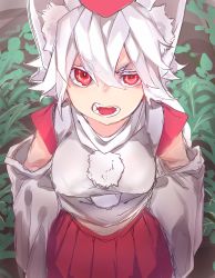 Rule 34 | 1girl, albino, animal ears, colorized, detached sleeves, from above, hat, highres, inubashiri momiji, japanese clothes, long sleeves, looking at viewer, open mouth, pom pom (clothes), red eyes, reiga (act000), shirt, short hair, sketch, skirt, solo, tokin hat, touhou, white hair, wide sleeves, wolf ears