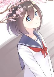 Rule 34 | 1girl, blue eyes, blue sailor collar, bow, branch, brown hair, cherry blossoms, closed mouth, collarbone, commentary request, flower, hair between eyes, highres, long sleeves, looking away, looking up, original, pink flower, red bow, sailor collar, school uniform, serafuku, shirt, short hair, smile, solo, suzunari shizuku, upper body, white shirt, yuki arare