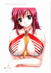 Rule 34 | 00s, 1girl, absurdres, artbook, banana, bare arms, between breasts, bikini, bikini top only, boin, boin lecture, breasts, closed mouth, collarbone, english text, facing viewer, food, fruit, green eyes, hair ornament, hairclip, hand on own arm, happoubi jin, happy, highres, huge breasts, iihara nao, japanese text, kanji, large breasts, long hair, looking at viewer, page number, pink hair, red hair, scan, sexually suggestive, simple background, smile, solo, striped, swimsuit, translation request, underwear, upper body, white background