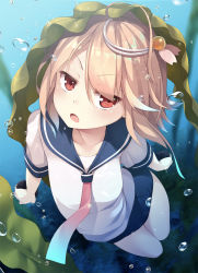 Rule 34 | 1girl, ahoge, bare legs, blush, breasts, bubble, collarbone, commentary request, eyes visible through hair, full body, hair between eyes, hair ornament, holding, i-58 (kancolle), kantai collection, looking at viewer, medium hair, mofu namako, multicolored hair, necktie, open mouth, orange hair, red eyes, red necktie, sailor collar, school swimsuit, school uniform, sea urchin, seaweed, serafuku, shirt, small breasts, solo, swimsuit, swimsuit under clothes, two-tone hair, underwater, water, white shirt