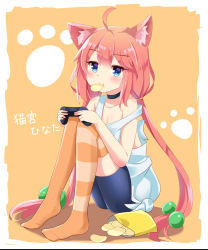 Rule 34 | 1girl, :t, ahoge, animal ear fluff, animal ears, asymmetrical legwear, bag of chips, bare arms, bare shoulders, bike shorts, black choker, black shorts, blue eyes, blush, cat ears, chips (food), choker, closed mouth, collarbone, commentary, controller, food, food in mouth, full body, game controller, hair between eyes, hair bobbles, hair ornament, hinata channel, holding, ikazu401, long hair, low twintails, mismatched legwear, mouth hold, nekomiya hinata, no shoes, orange thighhighs, pink hair, potato chips, shirt, short shorts, shorts, sidelocks, sitting, solo, strap slip, striped clothes, striped thighhighs, tank top, thighhighs, translated, twintails, very long hair, virtual youtuber, white shirt