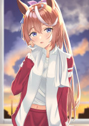 Rule 34 | 1girl, animal ears, blue eyes, bow, brown hair, ear ornament, highres, horse ears, horse girl, jacket, long hair, long sleeves, looking at viewer, multicolored hair, navel, open clothes, open jacket, open mouth, pink bow, ponytail, solo, streaked hair, sweat, tokai teio (umamusume), tracen training uniform, track jacket, track suit, tsukishiro mio, umamusume, wiping, wiping sweat