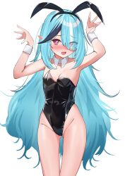 Rule 34 | 1girl, absurdres, animal ears, artist request, black hair, black leotard, blue hair, blush, breasts, collar, collarbone, detached collar, eyes visible through hair, fake animal ears, hair over one eye, hands up, highres, indie virtual youtuber, leotard, long hair, multicolored hair, open mouth, pink eyes, pointy ears, rabbit ears, second-party source, sharp teeth, small breasts, solo, streaked hair, teeth, very long hair, virtual youtuber, white collar, white wrist cuffs, wrist cuffs, zenya hima
