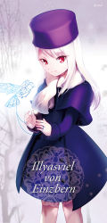 Rule 34 | 1girl, bad id, bad pixiv id, bird, capelet, character name, fate/stay night, fate (series), fur hat, hat, illyasviel von einzbern, jeran (ggokd), long hair, papakha, purple hat, red eyes, scarf, smile, solo, white hair