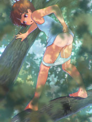 Rule 34 | 1girl, ass, barefoot, blue dress, blush, brown hair, clothes lift, dress, dress lift, from behind, highres, in tree, kusashige, looking down, open mouth, panties, panty pull, peeing, pink eyes, short hair, sleeveless, sleeveless dress, standing, tan, tanline, tree, underwear, white panties