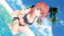 Rule 34 | anklet, bad id, bad pixiv id, beach, bikini, black bikini, black ribbon, blue bikini, blue eyes, blunt bangs, blush, bracelet, breasts, bug, butterfly, butterfly hair ornament, cleavage, collarbone, front-tie bikini top, front-tie top, go-toubun no hanayome, hair ornament, insect, izumi tagawa, jewelry, kneeling, large breasts, looking at viewer, nail polish, nakano nino, navel, ocean, outdoors, outstretched arm, palm tree, panties, pink hair, pointing, pointing at viewer, ponytail, ribbon, side-tie panties, smile, solo, sparkling eyes, stomach, swimsuit, tree, underwear, water, wet