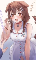 Rule 34 | 2girls, angeldu, animal collar, animal ears, blush, bone hair ornament, braid, breasts, breath, brown hair, cleavage, collar, commentary, cowboy shot, dog ears, dog girl, dog tail, dress, gradient background, grey background, hair ornament, highres, hololive, inugami korone, inugami korone (1st costume), leaning forward, looking at viewer, low twin braids, medium breasts, medium hair, multiple girls, no jacket, open mouth, orange eyes, pov, red collar, simple background, sleeveless, sleeveless dress, solo focus, standing, sweat, tail, translated, twin braids, two-tone background, virtual youtuber, white dress, wristband, yellow background