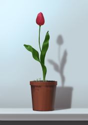 Rule 34 | drop shadow, flower, flower pot, grey background, highres, leaf, mituura, no humans, original, plant, potted plant, red flower, still life, tulip