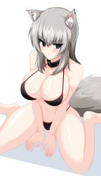 Rule 34 | 1girl, absurdres, alternate breast size, animal ear fluff, animal ears, bare shoulders, bikini, black bikini, blue eyes, blush, breasts, cleavage, collar, collarbone, embarrassed, girls und panzer, grey hair, hair between eyes, hands between legs, heels, highres, itsumi erika, large breasts, leather collar, looking to the side, navel, shiny skin, side-tie bikini bottom, simple background, sitting, solo, spread legs, swimsuit, tagme, tail, thighs, wariza, white background, wolf ears, wolf tail
