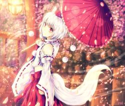 Rule 34 | 1girl, albino, animal ears, artist name, crop top, detached sleeves, hat, inubashiri momiji, japanese clothes, long sleeves, looking at viewer, oil-paper umbrella, petals, pom pom (clothes), red eyes, roru (gororuru), sarashi, short hair, skirt, smile, solo, tail, tokin hat, touhou, umbrella, white hair, wide sleeves, wolf ears, wolf tail