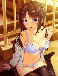Rule 34 | &gt;:o, 1girl, :o, absurdres, artist name, black pantyhose, blue bra, blue eyes, blue panties, bow, bow bra, bow panties, bra, breasts, brown hair, cleavage, clothes pull, collarbone, dengeki moeou, hair ornament, hairclip, highres, lace, lace-trimmed bra, lace-trimmed panties, lace trim, large breasts, loafers, long hair, looking at viewer, navel, no pants, open clothes, open mouth, open shirt, outdoors, panties, pantyhose, pantyhose pull, scan, shirt, shoes, sitting, sleeves past wrists, solo, strap slip, underwear, undressing, v-shaped eyebrows, wariza, yuuki hagure