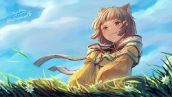 Rule 34 | 1girl, animal ears, artist name, blue sky, brown eyes, cat ears, cat girl, closed mouth, cloud, cloudy sky, fang, grass, grey hair, long sleeves, looking at viewer, nia (xenoblade), outdoors, short hair, signature, sky, smile, soc nau, solo, xenoblade chronicles (series), xenoblade chronicles 2