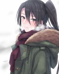 Rule 34 | 1girl, artist name, black hair, brown eyes, coat, from side, fur-trimmed coat, fur trim, green coat, hair between eyes, kantai collection, light smile, long hair, long sleeves, looking at viewer, nachi (kancolle), portrait, red scarf, scarf, side ponytail, signature, solo, totto (naka)