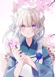 Rule 34 | 1girl, animal ear fluff, animal ears, blonde hair, blue eyes, braid, braided bun, braided hair rings, branch, cherry blossoms, double bun, facing viewer, flower, fox ears, fox tail, hair bun, hair rings, heterochromia, highres, holding, holding branch, holding flower, japanese clothes, kimono, kitsune, kitsunemame, orange eyes, original, parted lips, rope, shimenawa, solo, tail, tearing up, tree, twin braids, wind