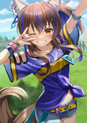 Rule 34 | 1girl, \m/, animal ears, arm up, belt, belt buckle, blue hair, blue shirt, blue shorts, blurry, blurry background, blush, breasts, brown eyes, brown hair, buckle, commentary request, daitaku helios (umamusume), day, depth of field, grin, highres, horse ears, horse girl, horse tail, looking at viewer, medium hair, multicolored hair, navel, one eye closed, outdoors, racetrack, shirt, short shorts, short sleeves, shorts, small breasts, smile, solo, streaked hair, tail, tied shirt, umamusume, wide sleeves, yellow belt, yuuka nonoko