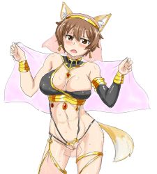 Rule 34 | 1girl, animal ears, arabian clothes, armlet, blush, body blush, bracer, breasts, bridal veil, brown eyes, brown hair, cleavage, covered erect nipples, earrings, female pubic hair, fox ears, fox tail, hairband, jewelry, katou keiko, kunashiri (etorofu), large breasts, navel, open mouth, pubic hair, revealing clothes, short hair, simple background, solo, strike witches, sweat, tail, toned, veil, white background, witches of africa, world witches series