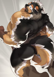 Rule 34 | 1boy, absurdres, animal ears, ass, bara, black fur, boogbogex, brown eyes, brown fur, completely nude, dog boy, dog ears, dog tail, feet out of frame, from behind, furry, furry male, haki (boogbogex), highres, large pectorals, looking at viewer, looking back, male focus, muscular, nipples, nude, orange fur, original, pectorals, solo, tail, thick thighs, thighs, tongue, tongue out, whiskers, white fur
