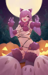 Rule 34 | 1girl, :d, absurdres, animal ear fluff, animal ears, bow, breasts, cat ears, claw pose, darling0221, elbow gloves, fang, fate/grand order, fate (series), full moon, fur-trimmed gloves, fur-trimmed legwear, fur trim, gloves, hair ornament, halloween costume, highres, jack-o&#039;-lantern, kneeling, large breasts, looking at viewer, mash kyrielight, mash kyrielight (dangerous beast), moon, navel, official alternate costume, open mouth, panties, pink bow, purple eyes, purple gloves, purple hair, purple panties, purple thighhighs, revealing clothes, skin fang, smile, solo, thighhighs, underwear