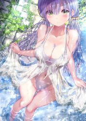 Rule 34 | 1girl, absurdres, black one-piece swimsuit, breasts, cleavage, commentary request, cowboy shot, dress, from above, green eyes, highleg, highleg swimsuit, highres, long hair, low twintails, medium breasts, ogata tei, one-piece swimsuit, original, plant, purple hair, skirt hold, soaking feet, solo, standing, swimsuit, swimsuit under clothes, twintails, vines, wading, water, wet, wet clothes, white dress