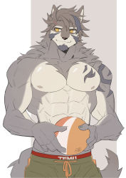 Rule 34 | 1boy, abs, animal ears, ball, bara, bare pectorals, beige fur, brown hair, chest hair, chest tattoo, cowboy shot, facial hair, fang, flat color, furry, furry male, goatee, green kimono, green male swimwear, hachi duchi, hadanugi dousa, hair between eyes, highres, holding, holding ball, japanese clothes, kimono, looking to the side, male focus, male swimwear, mature male, muscular, muscular male, navel, nipples, open clothes, open kimono, pectorals, short hair, smile, solo, stomach, swim trunks, tail, tattoo, temujin (housamo), tokyo houkago summoners, volleyball, volleyball (object), wolf boy, wolf ears, wolf tail