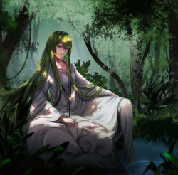 Rule 34 | androgynous, animal, bad id, bad pixiv id, blue eyes, day, enkidu (fate), fate/strange fake, fate (series), forest, gender request, green hair, highres, long hair, looking at viewer, nature, outdoors, plant, riyu (gauzama), smile, soaking feet, solo, tree, very long hair, water, wolf